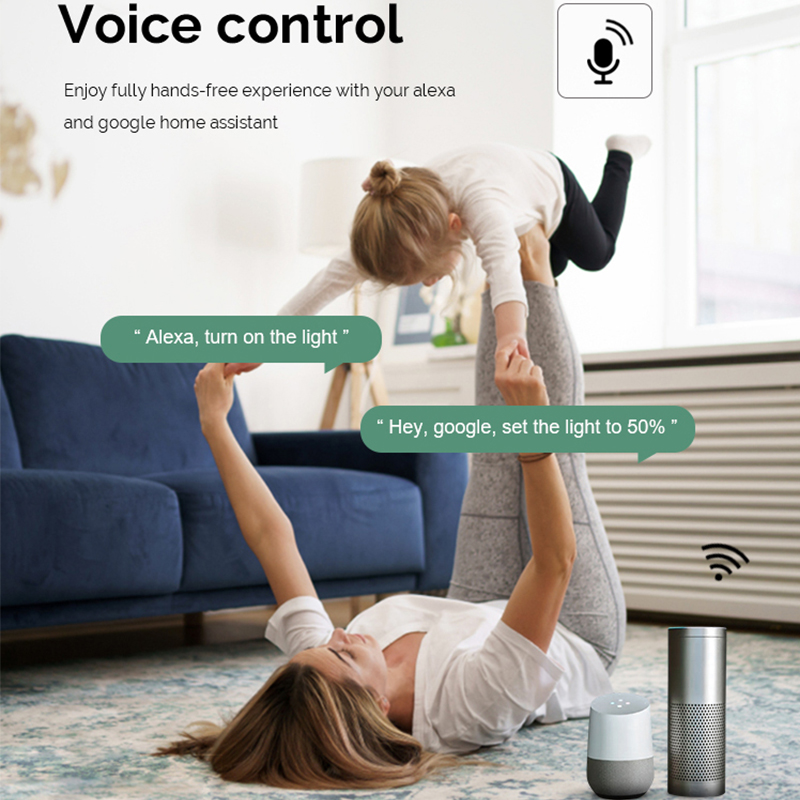 DIY Wifi Smart Dimmer Switch M - Smart Home Google Assistant recensie en prijs