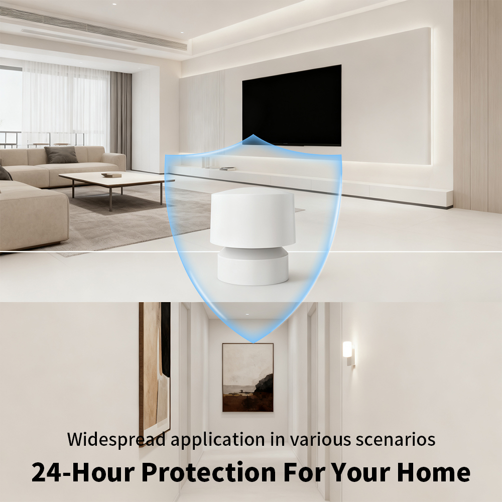 Zigbee of WiFi slimme aanwezig - Smart Home Google Assistant recensie en prijs