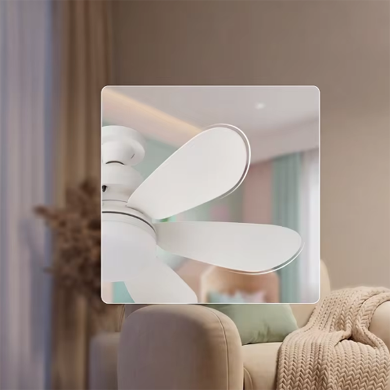 40W E27 LED-plafondventilator  - Smart Home Ventilation recensie en prijs